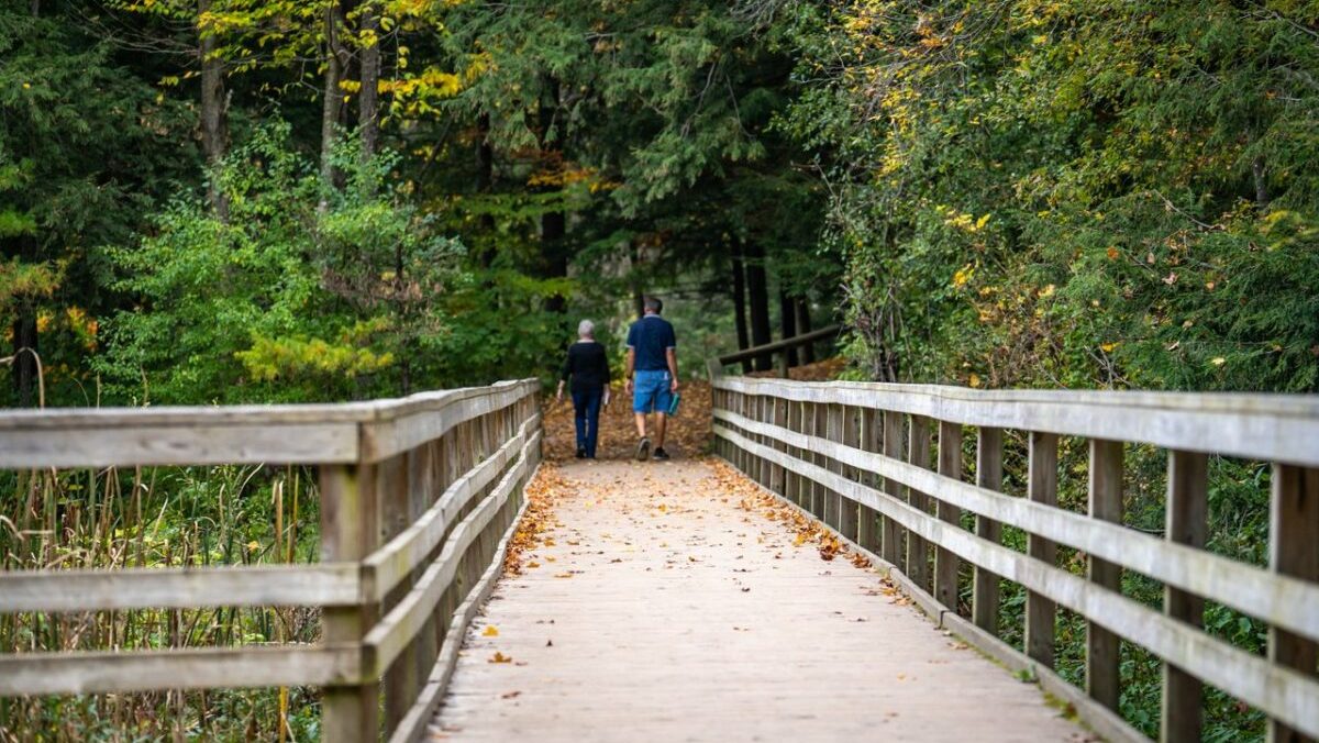 What's the fall forecast now that autumn has arrived in Waterloo Region?