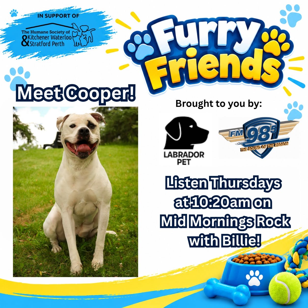 This week's Furry Friends w/ Billie, sponsored by Labrador Pet!