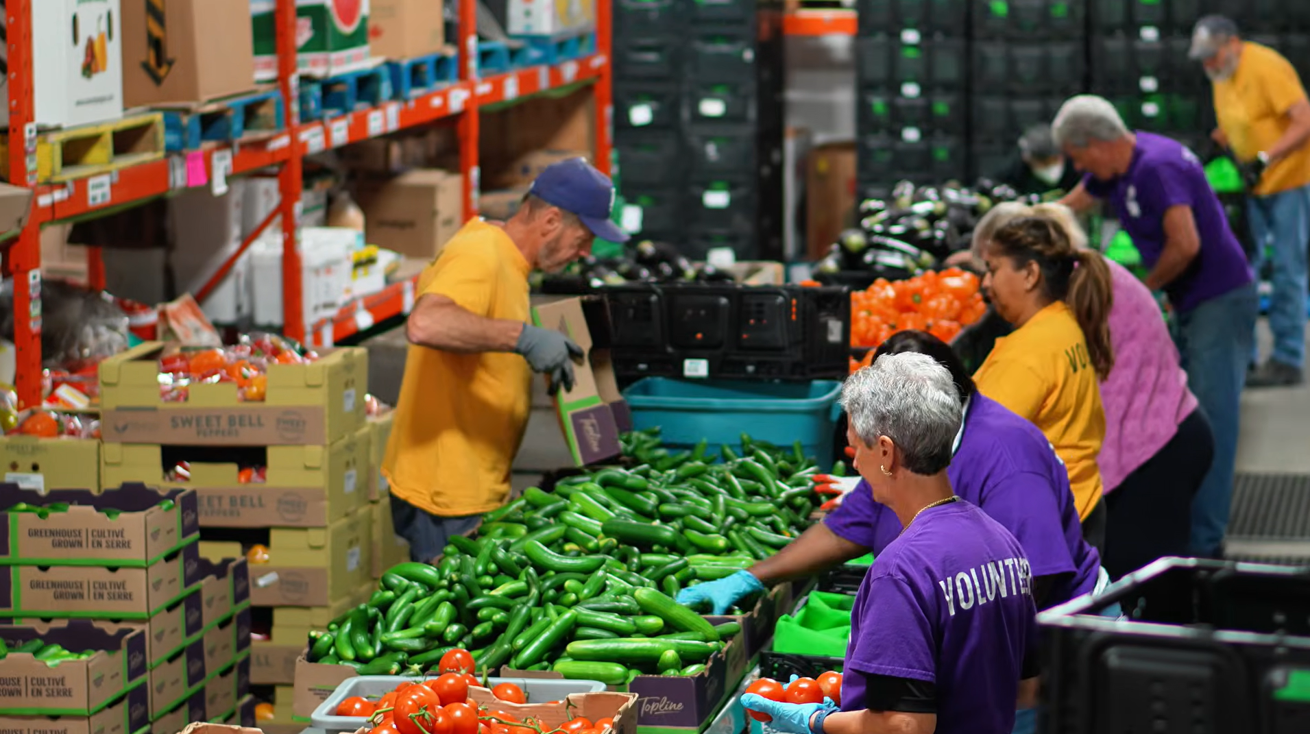 'Tremendous confidence': Region's food banks receive $4.5M donation