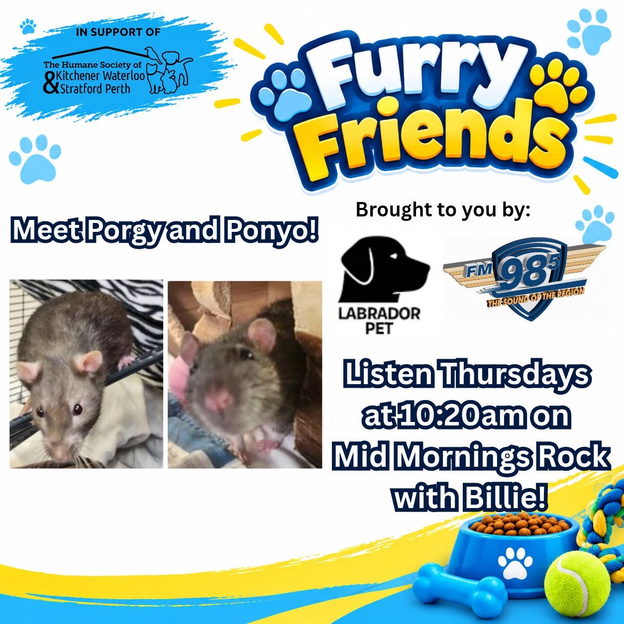 This week's Furry Friends w/ Billie, sponsored by Labrador Pet!