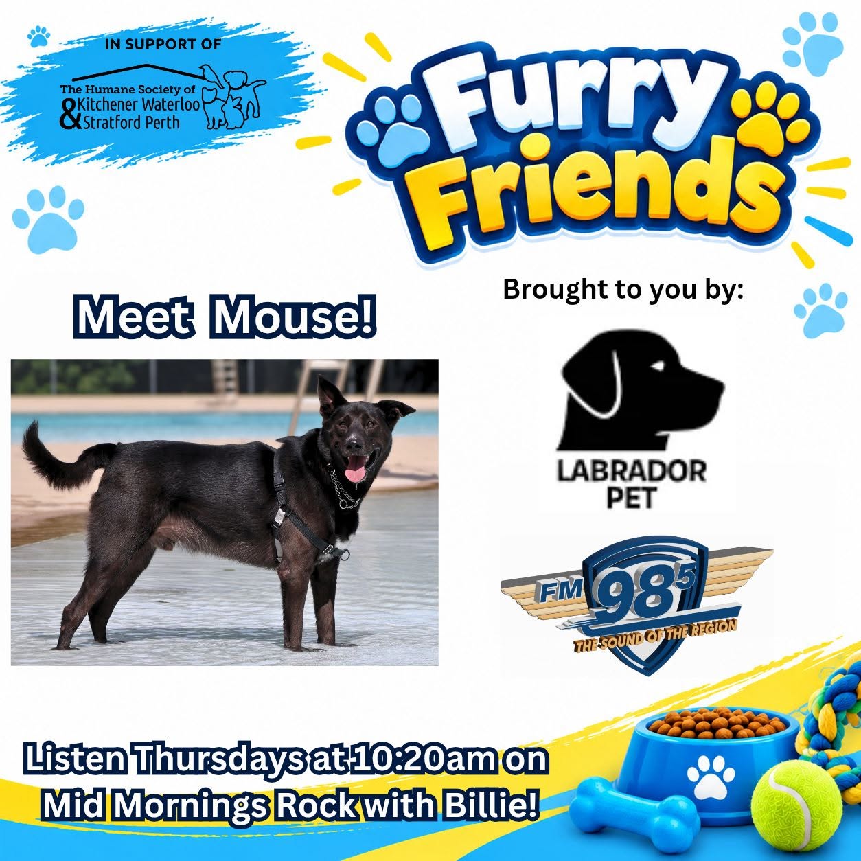 This week's Furry Friends w/ Billie, sponsored by Labrador Pet!