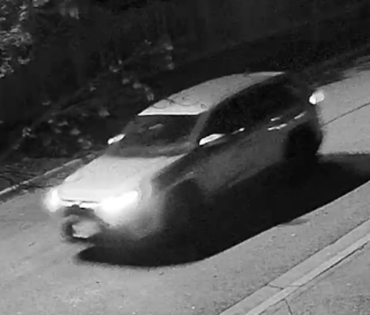Suspect Vehicle_1