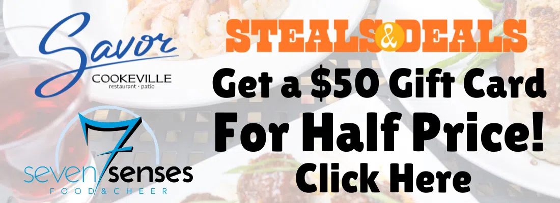 Feature: https://www.stealsanddealscook.com/