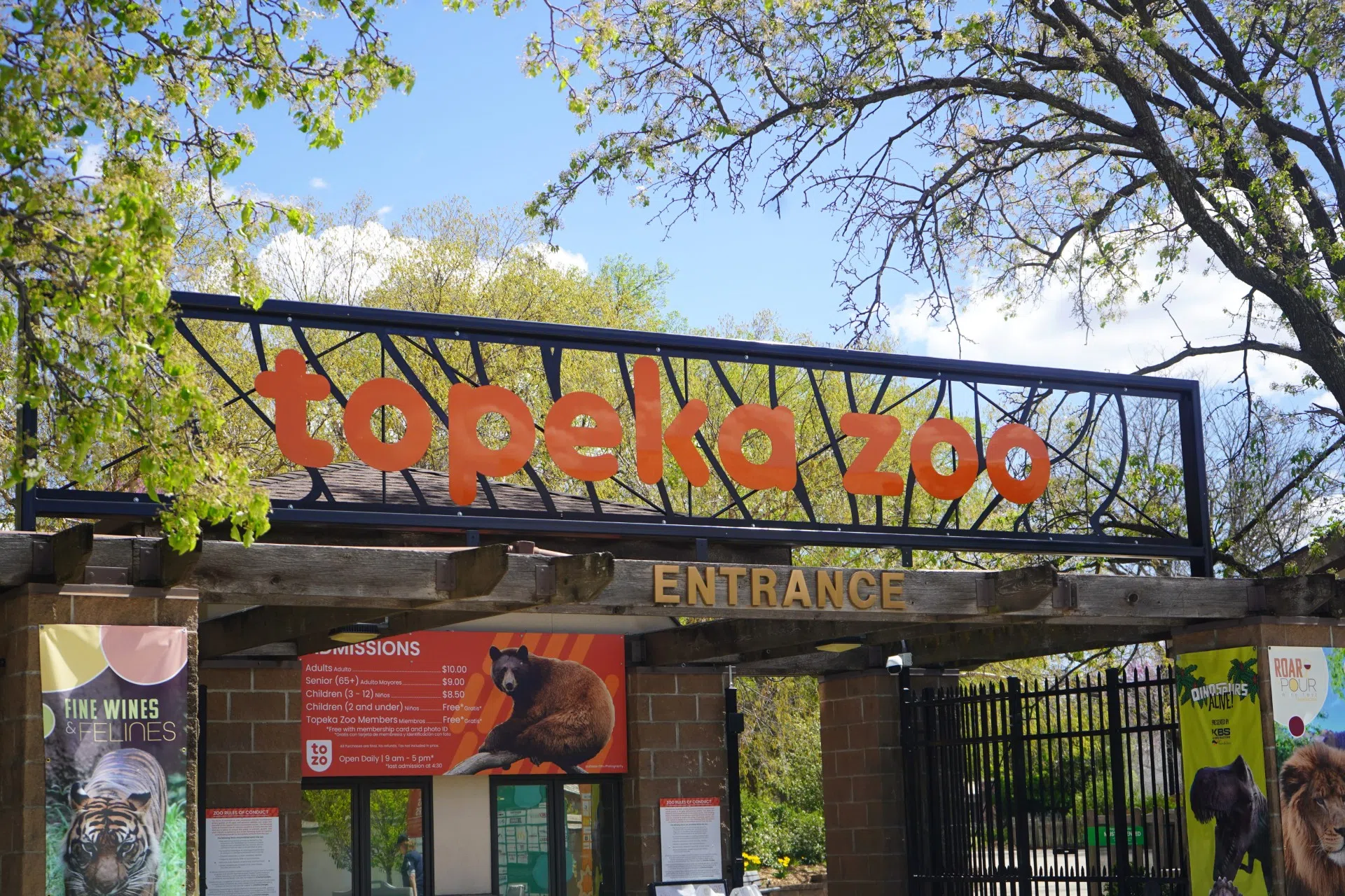 New Borns at the Topeka Zoo! Two golden lion tamarin babies now visible by guests