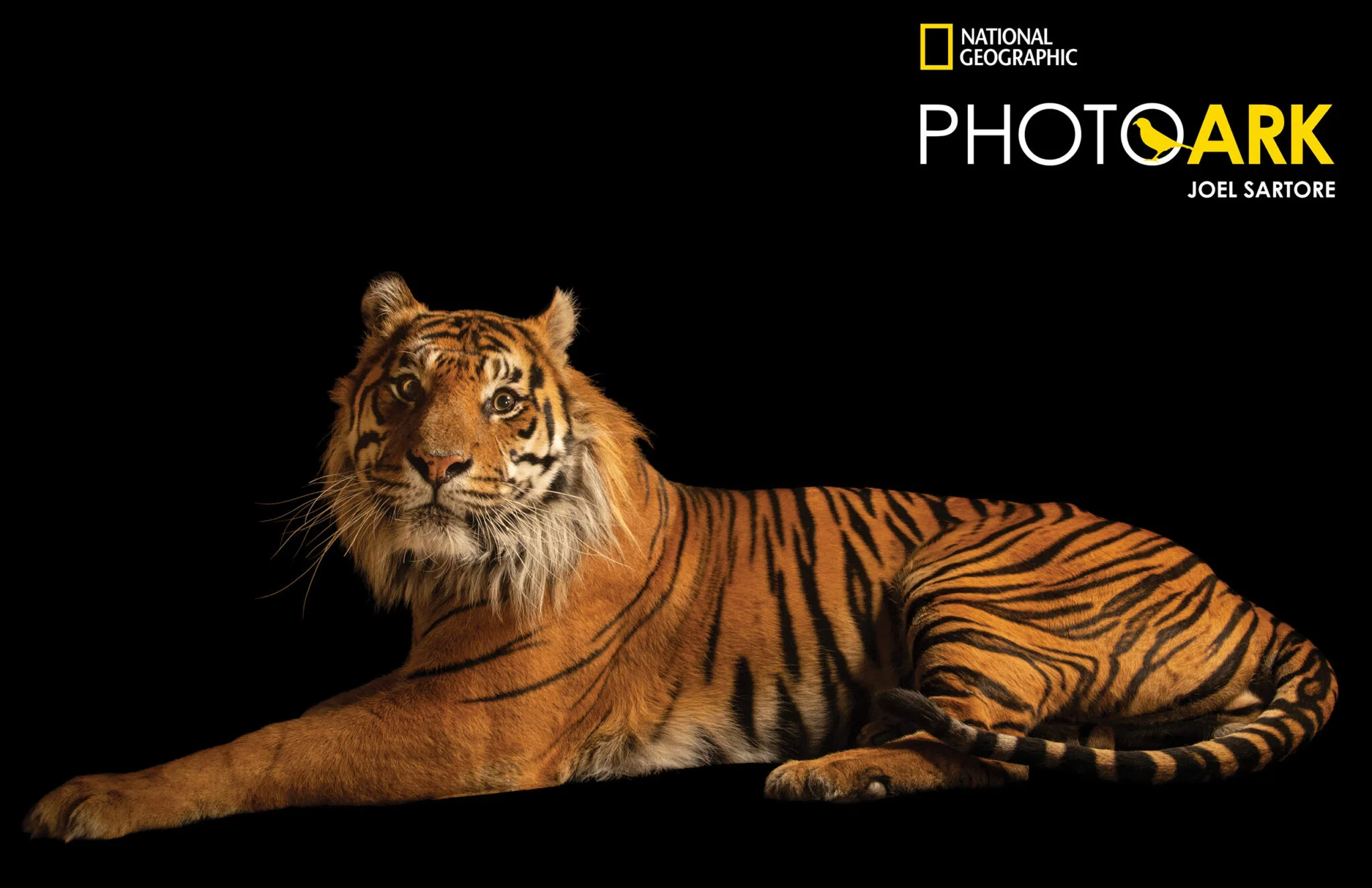 An Afternoon with National Geographic Photographer Joel Sartore: Saturday, June 14