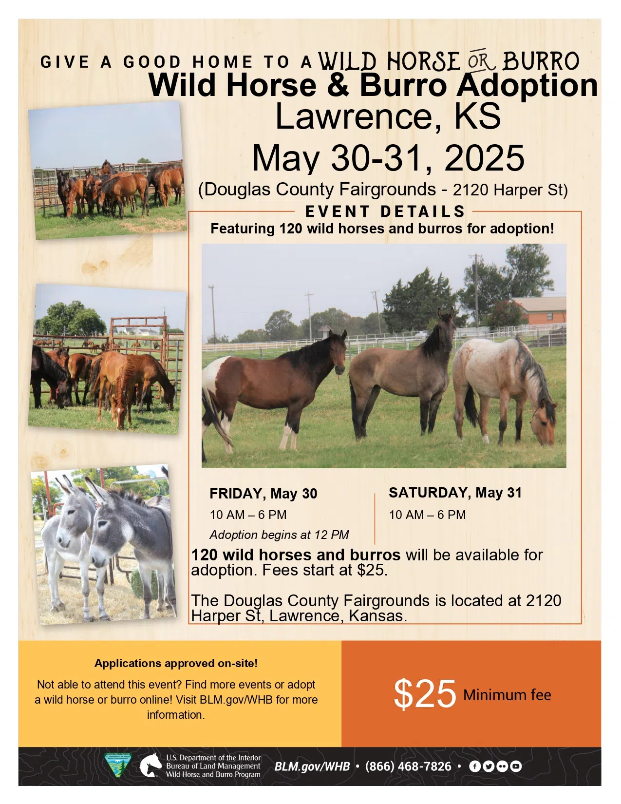 Wild Horse & Burro Auction: May 30th-31st