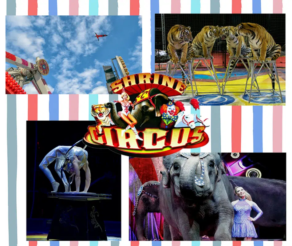 The circus comes to town