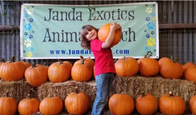 Families invited to annual Janda Exotics petting zoo, pumpkin patch