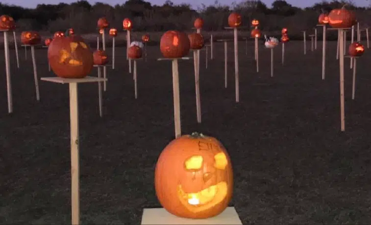Pumpkins on Pikes event slated to return to SOLC during Pecan Fest weekend