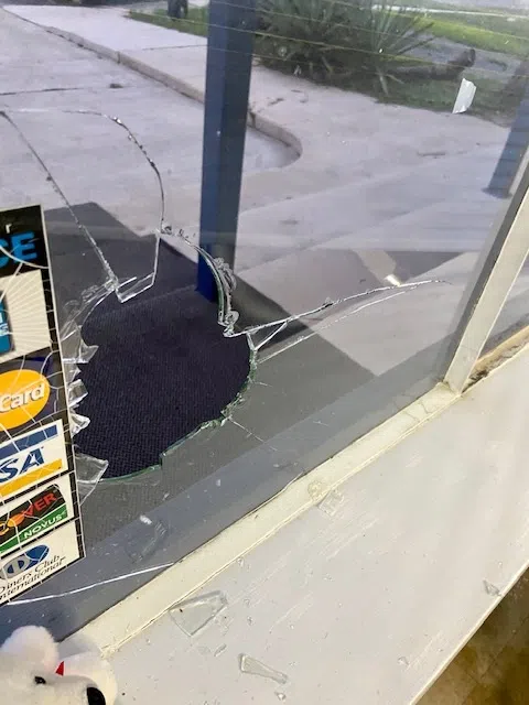 Suspect shatters windows at local businesses