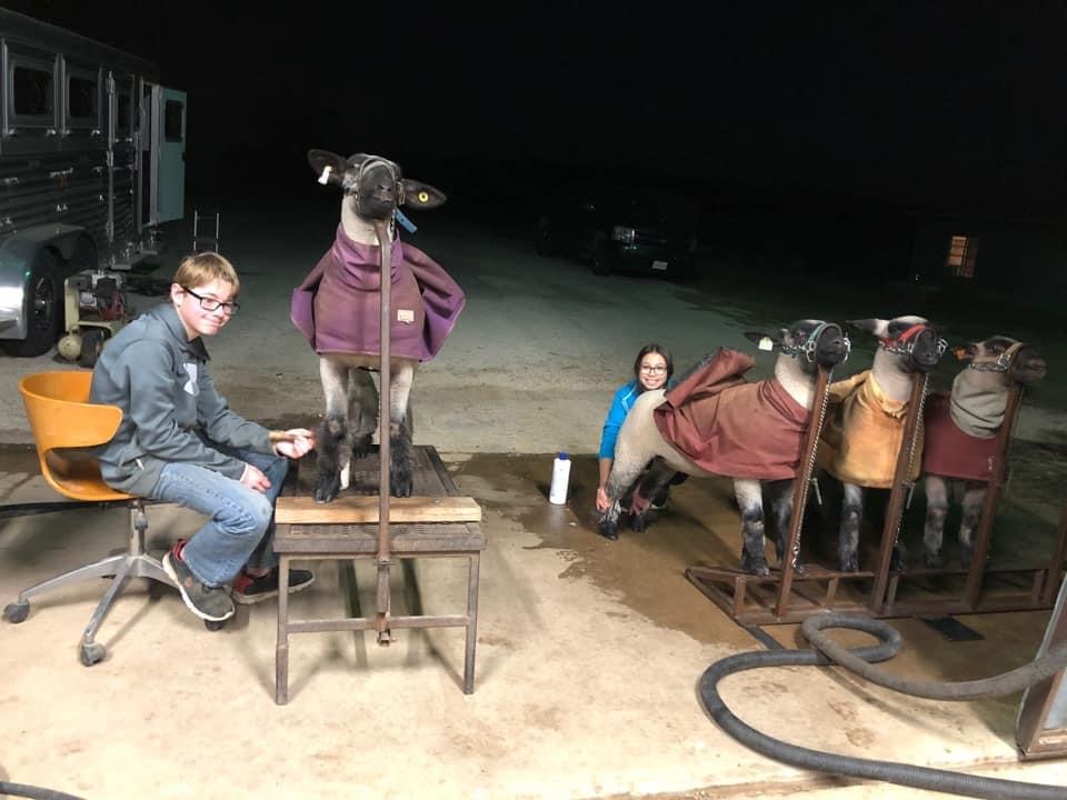 The Show Will Go On; Changes in place for this week’s Guadalupe County Youth Livestock and Homemakers Show