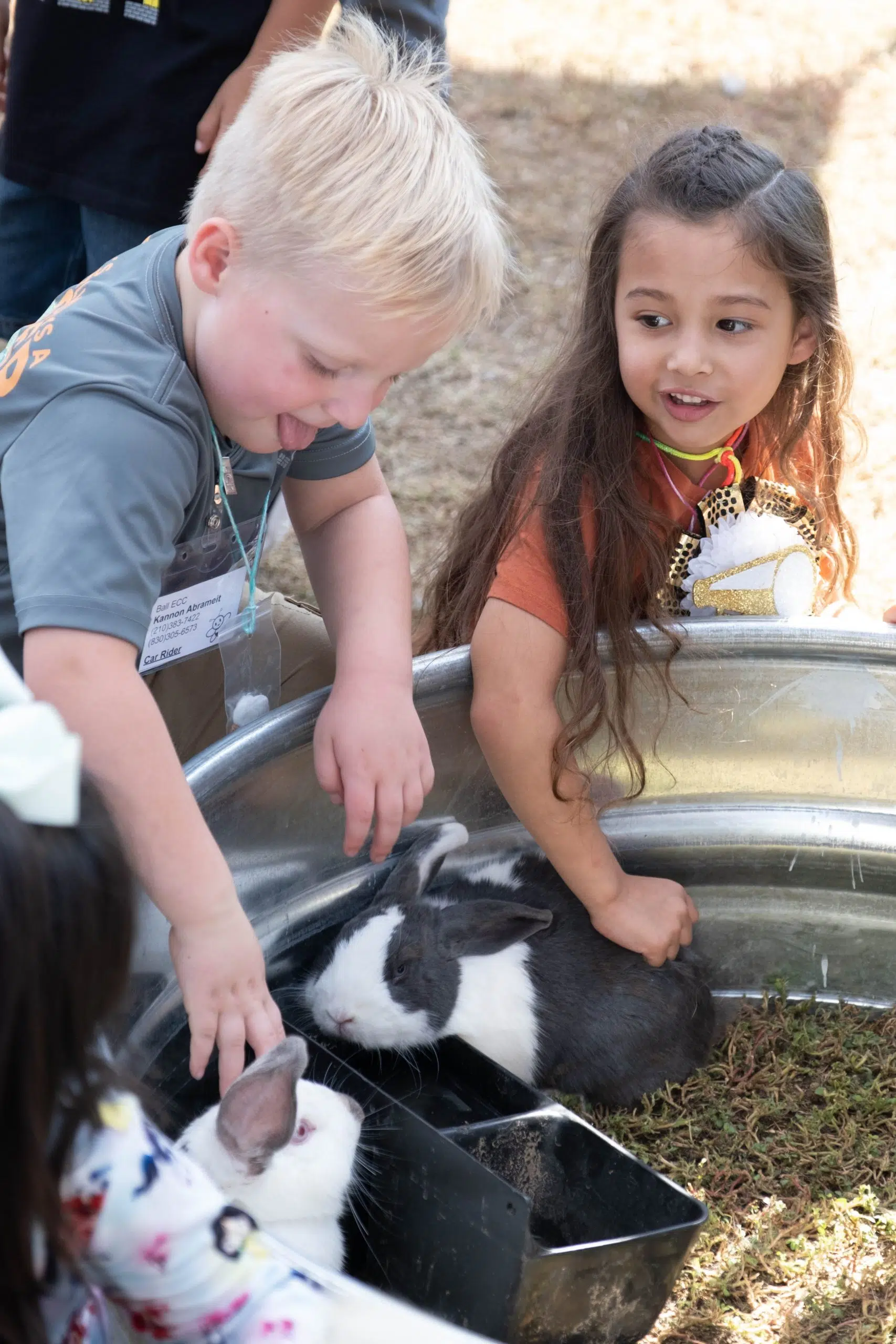Students experience barnyard menagerie!