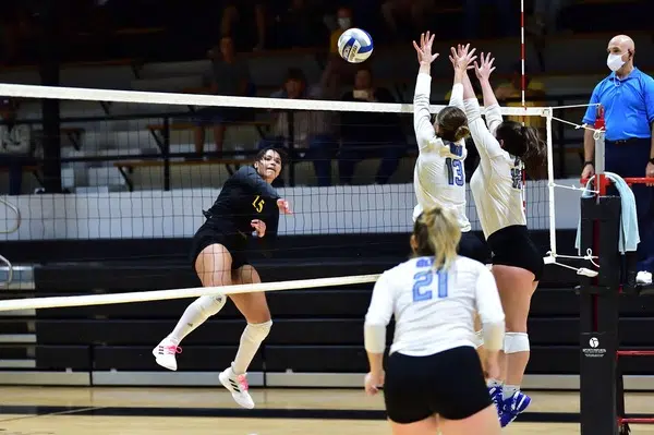 Oct. 19 TLU, Seguin, Marion Volleyball Recaps