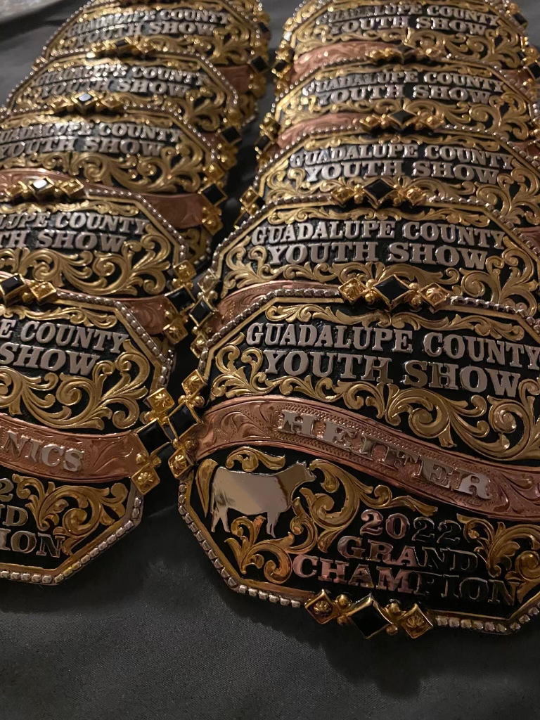 Projects, animals, baked goods begin arriving for this year's Guadalupe County Youth Livestock and Homemakers Show