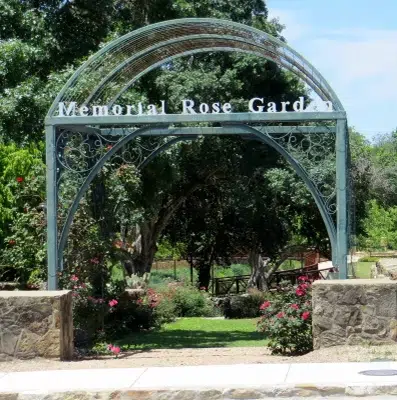 Moonlight & Roses event returns Friday night