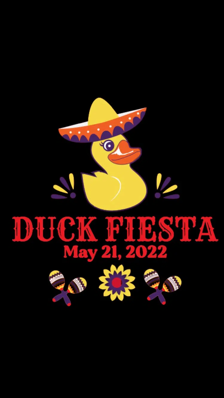 Duck Fest returns, ducks still available for adoption