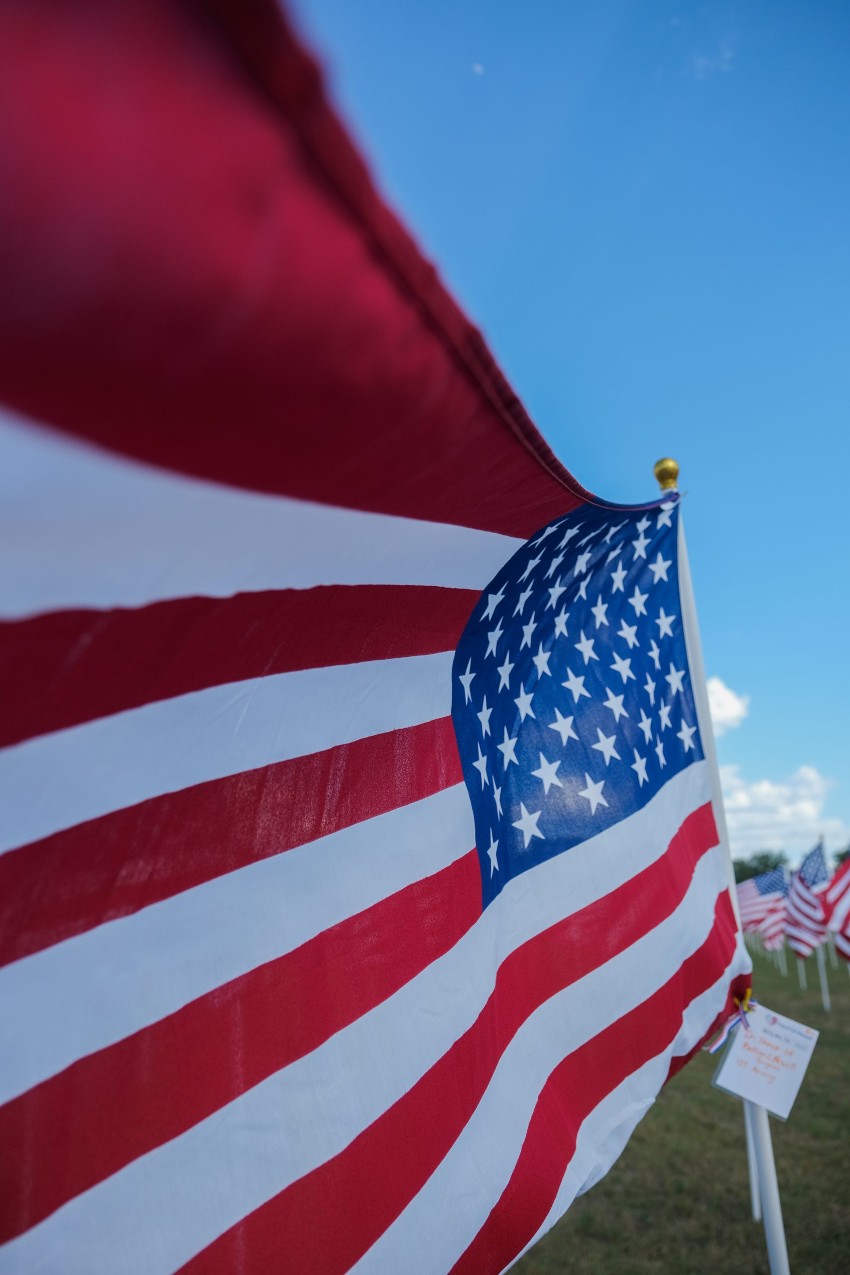 Final days remain for Field of Honor event