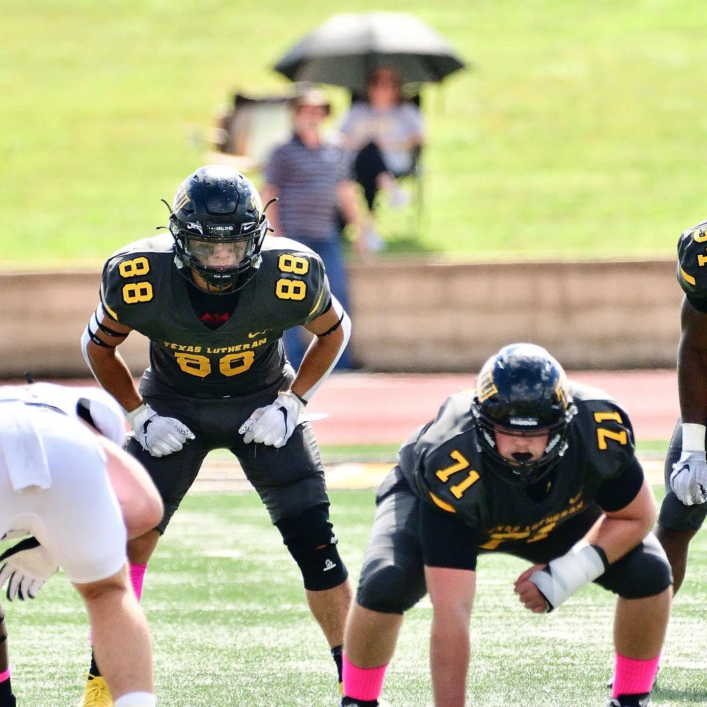 TLU Will Look to Get First Win of Season Against Winless North American University This Saturday