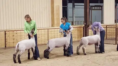 Youth show incentive in place for buying your gala tickets early