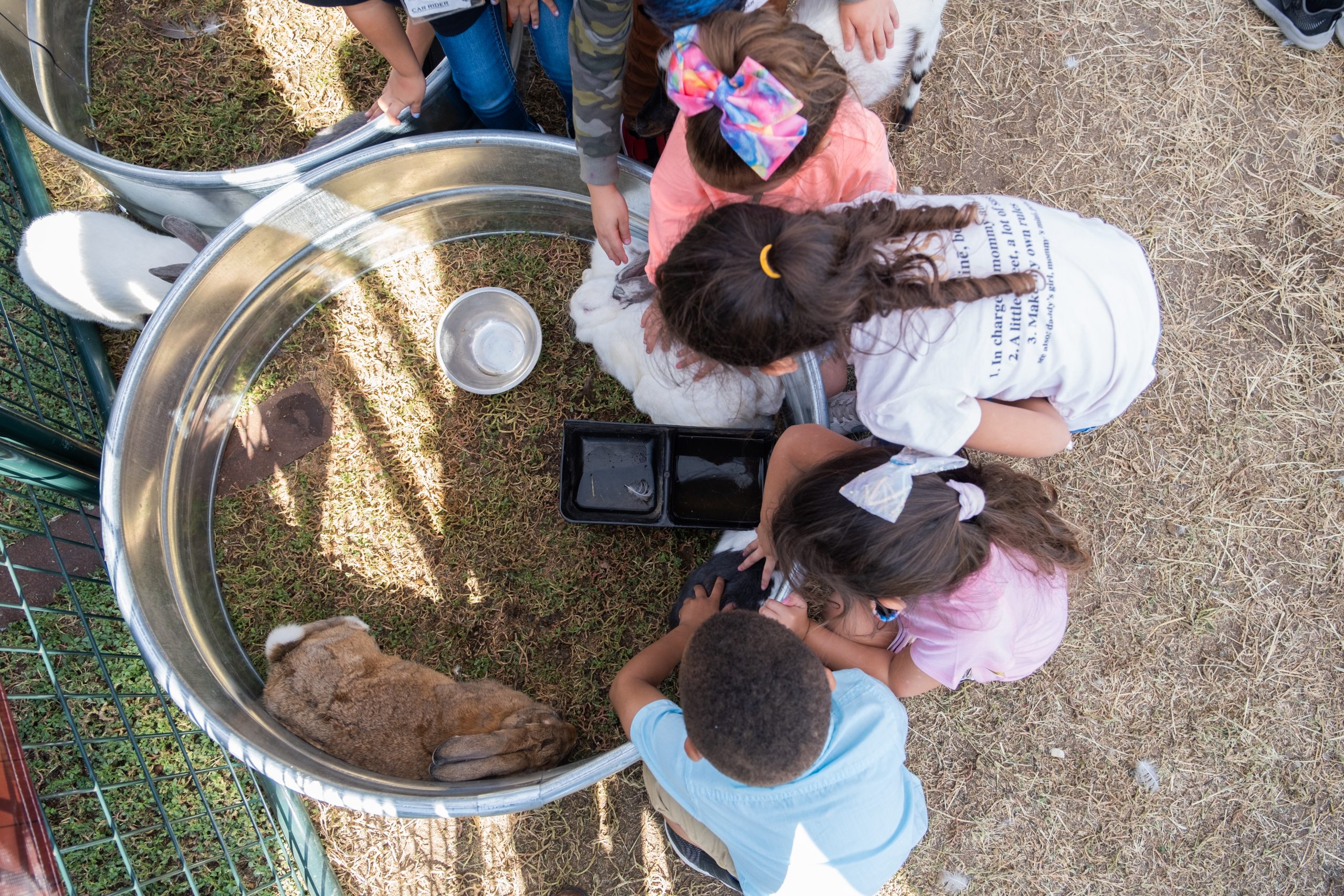 Area children get a closer experience with this year's fair animals