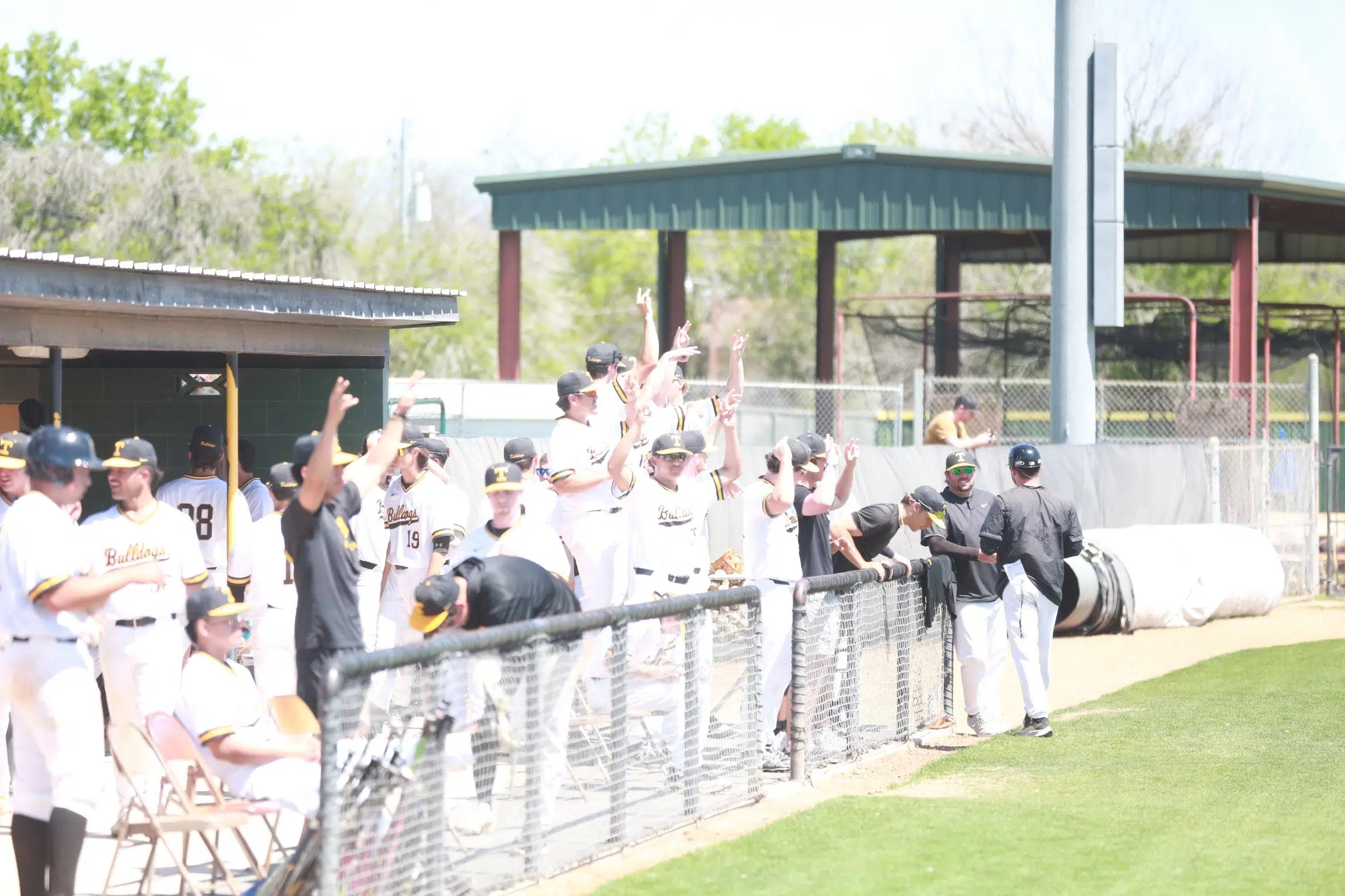 BASEBALL -- TLU Baseball Releases Complete 2023 Schedule