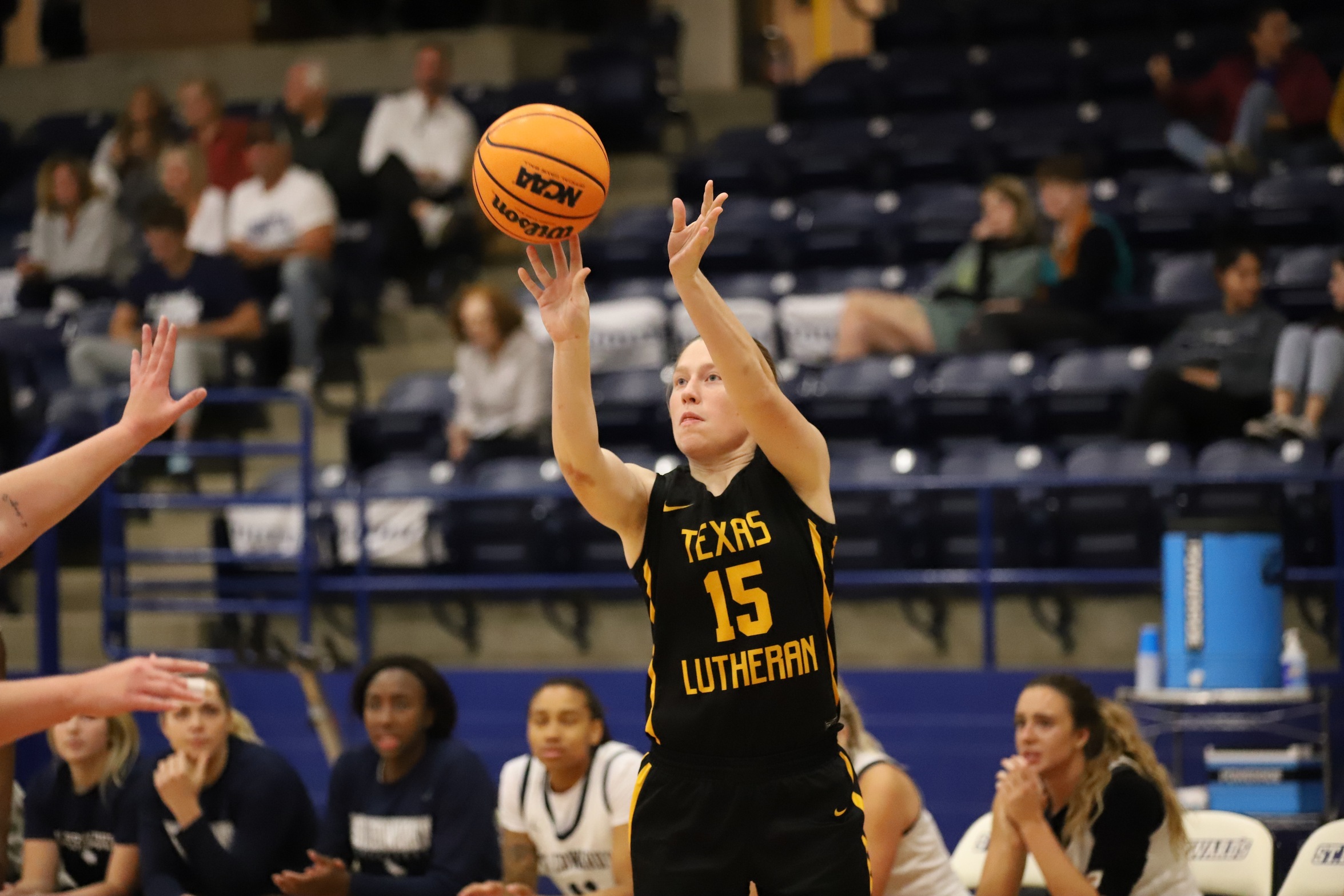 WOMEN'S BASKETBALL -- Texas Lutheran Falls to Dallas, 72-67
