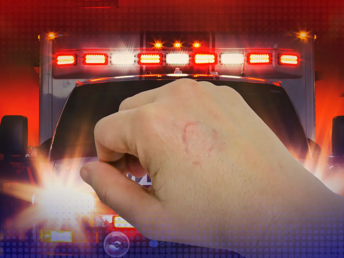 Man bites family members during domestic violence