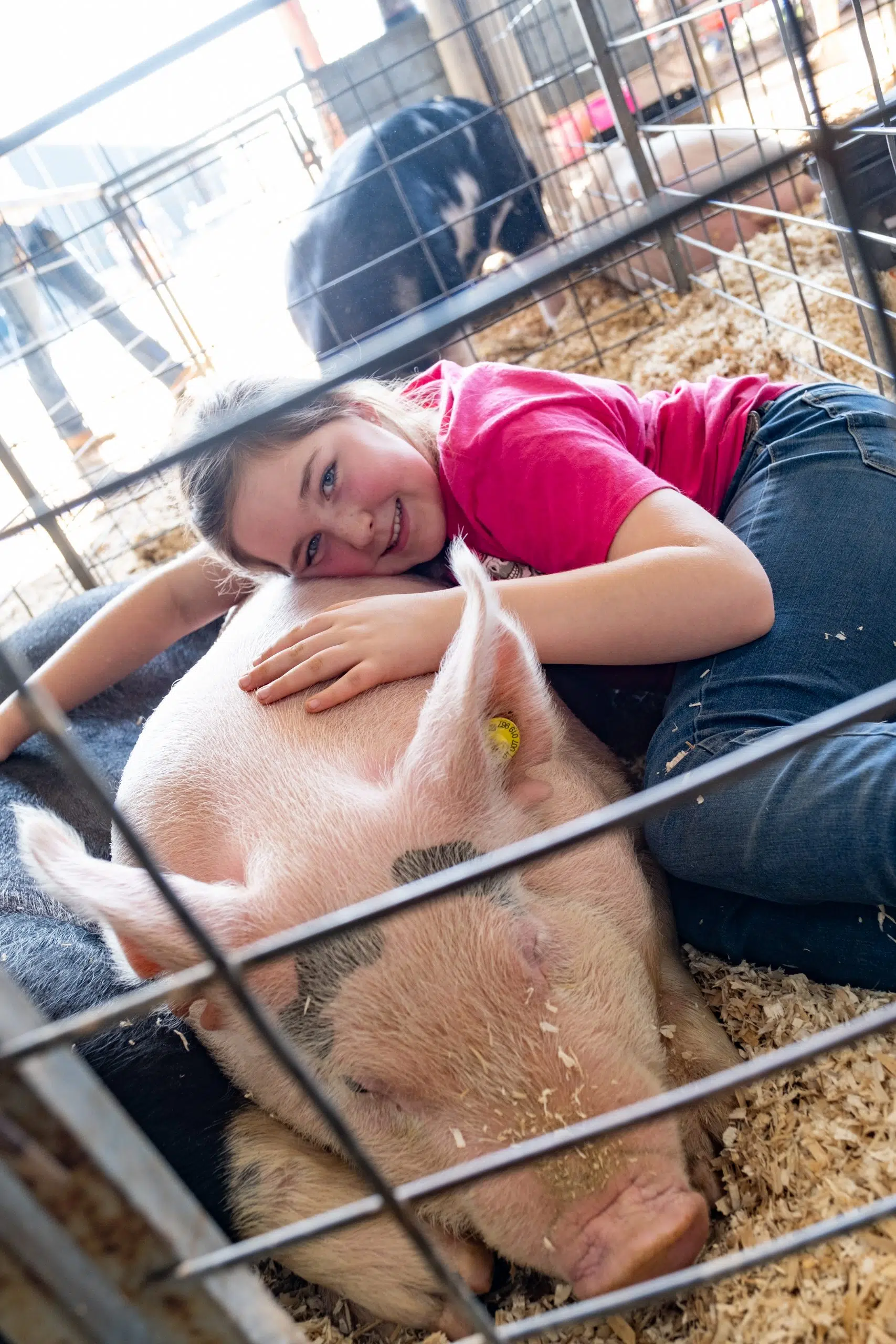 Life in the Pig Pen: Raising Hogs for Show & Sustenance