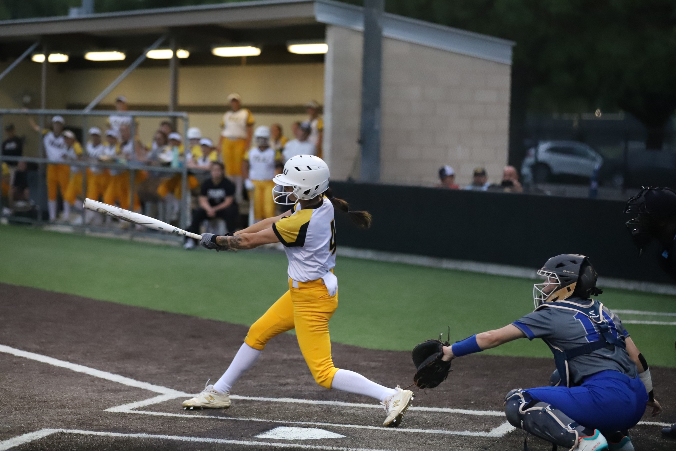 SOFTBALL -- Bulldogs Dominant in Sweep of Austin College