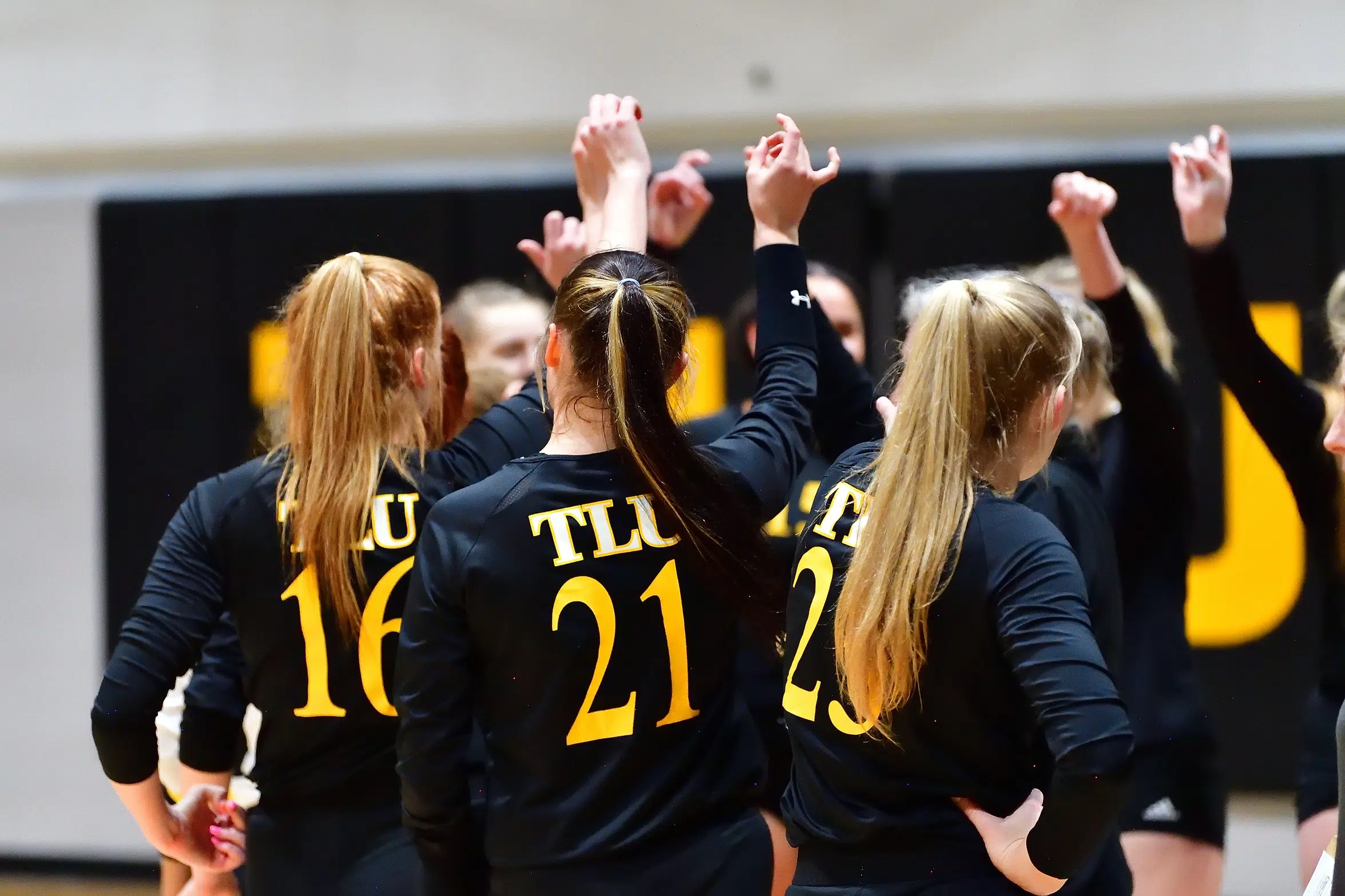 VOLLEYBALL -- TLU Women's Volleyball Picked Fourth in SCAC Preseason Coaches Poll