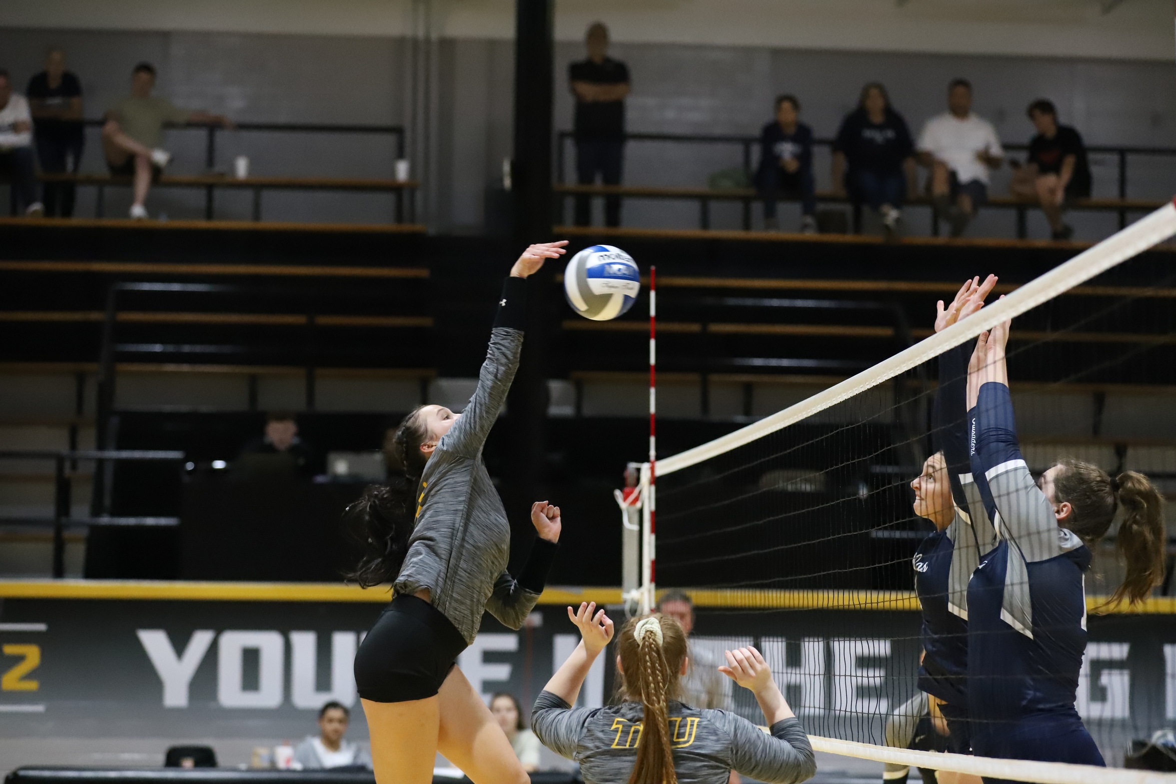 TLU VOLLEYBALL -- Chew, Kallus, and Nedd Named to CSC Academic All-District Team