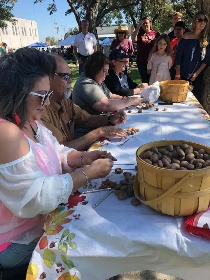 Pecan Fest to include pub crawl, pecan cracking contest