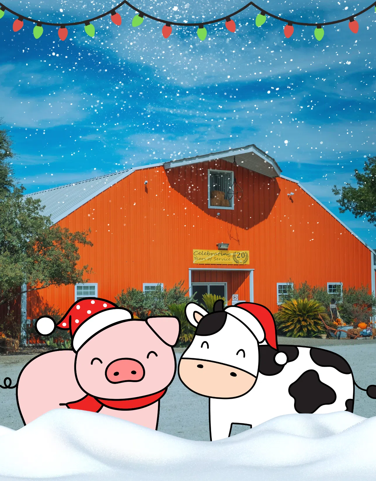 Big Red Barn opens doors for Country Christmas | Seguin Today, image size:1290x1650