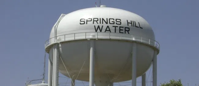Listen now to our interview on the Springs Hill SUD election