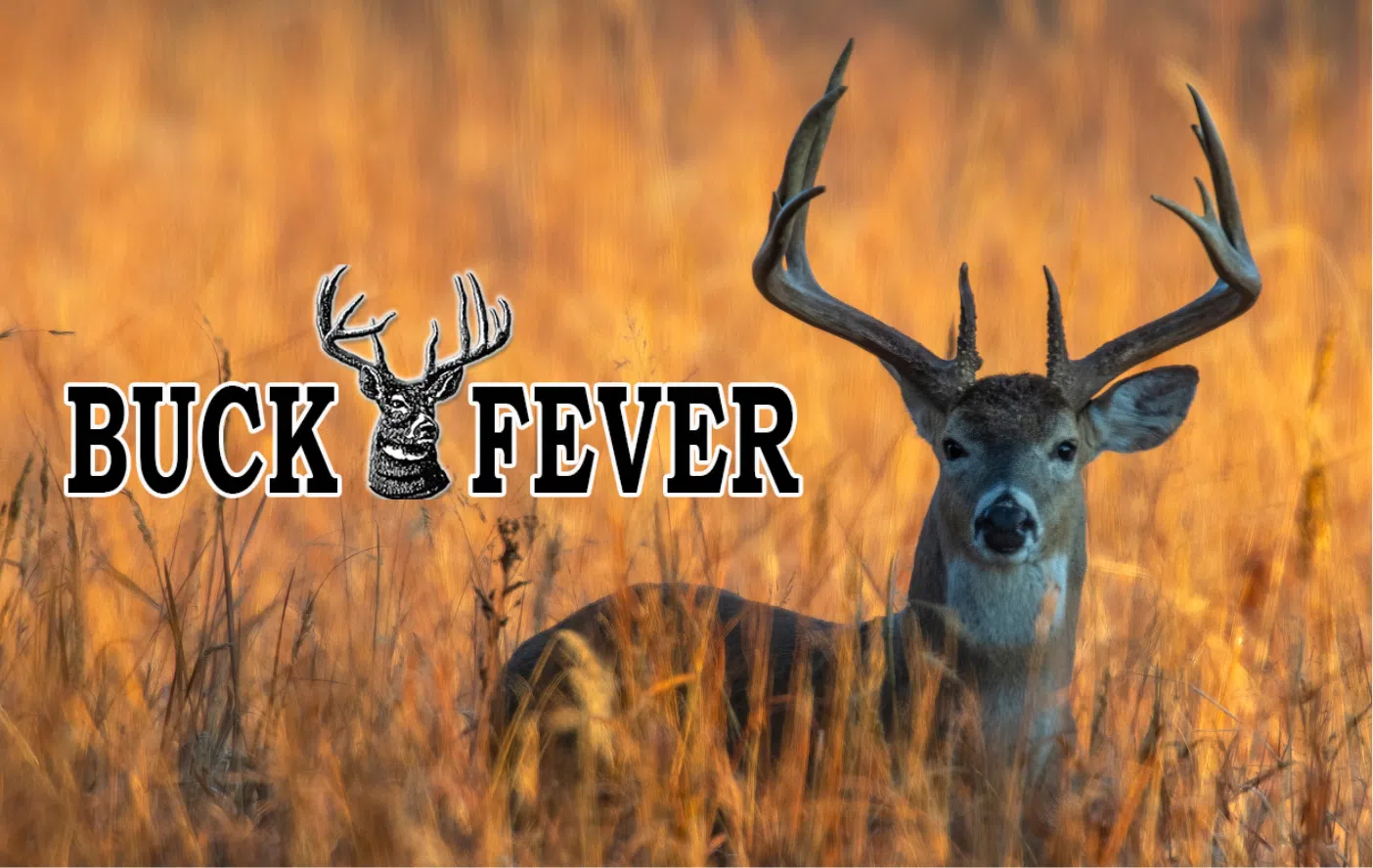 Two day Buck Fever to begin tonight