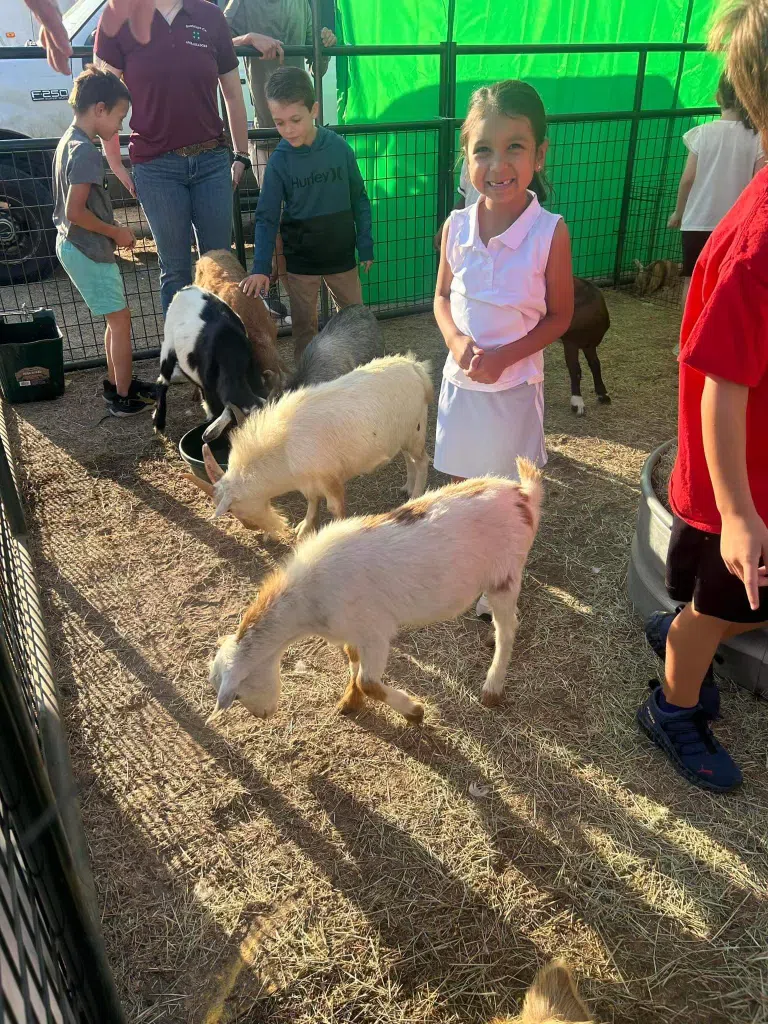 Guadalupe County Fair, PRCA Rodeo continues into the weekend