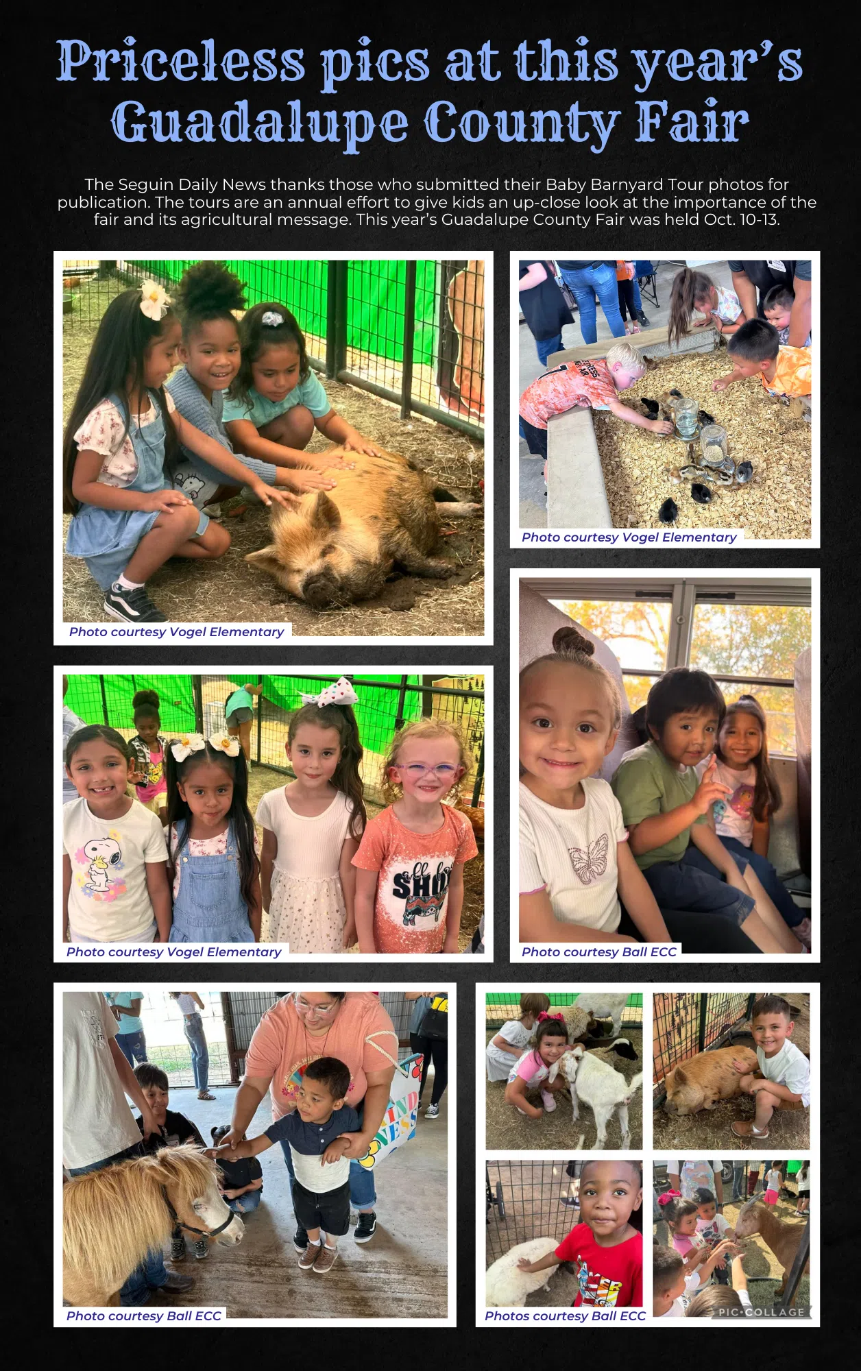 Priceless pics at this year's Guadalupe County Fair