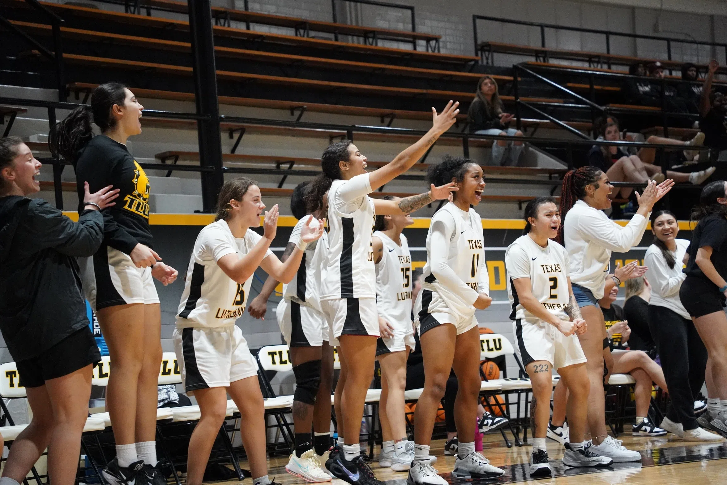 Texas Lutheran WBB Releases 2024-25 Schedule