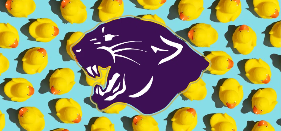 Feeling lucky? Duck Fest to host annual Duck Drop fundraiser