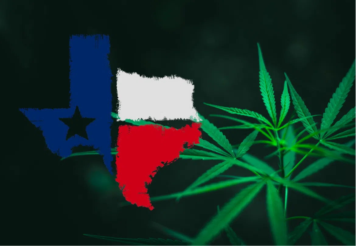 Hemp regulation still on the table in Austin