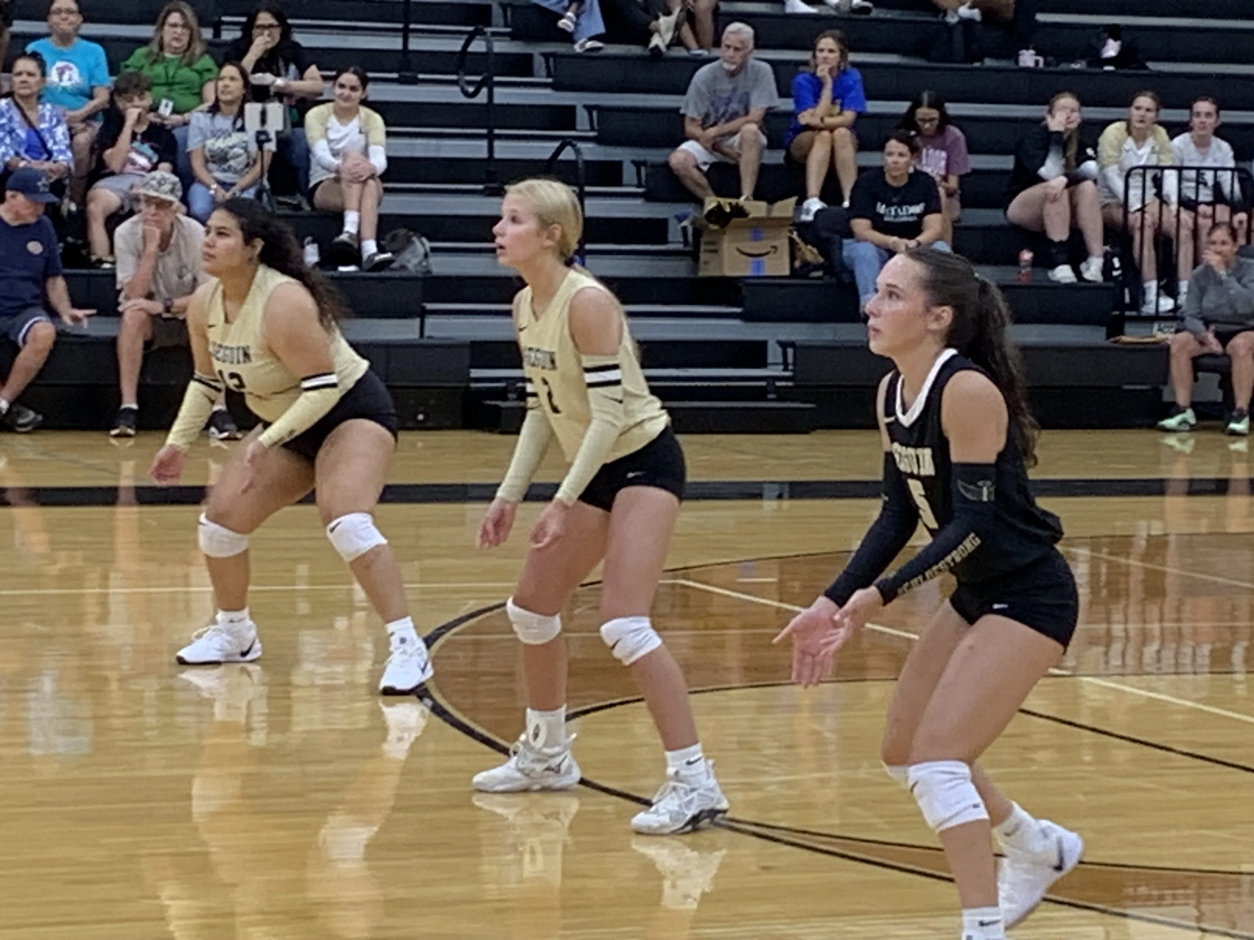 Seguin, Marion and Navarro to compete in volleyball Bi-District playoffs on Thursday