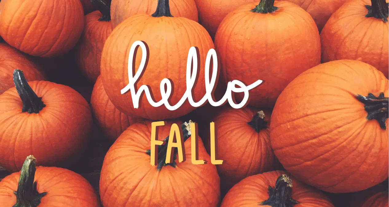 Volunteers, car show participants needed