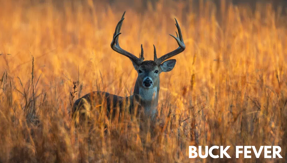 Buck Fever celebrates 40 years of community, conservation, plus camaraderie