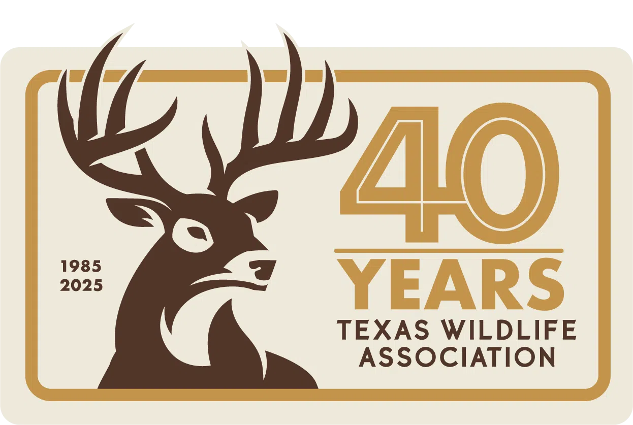Hunting Corner: Seguin to be host site for White-tailed Deer Workshop for local landowners
