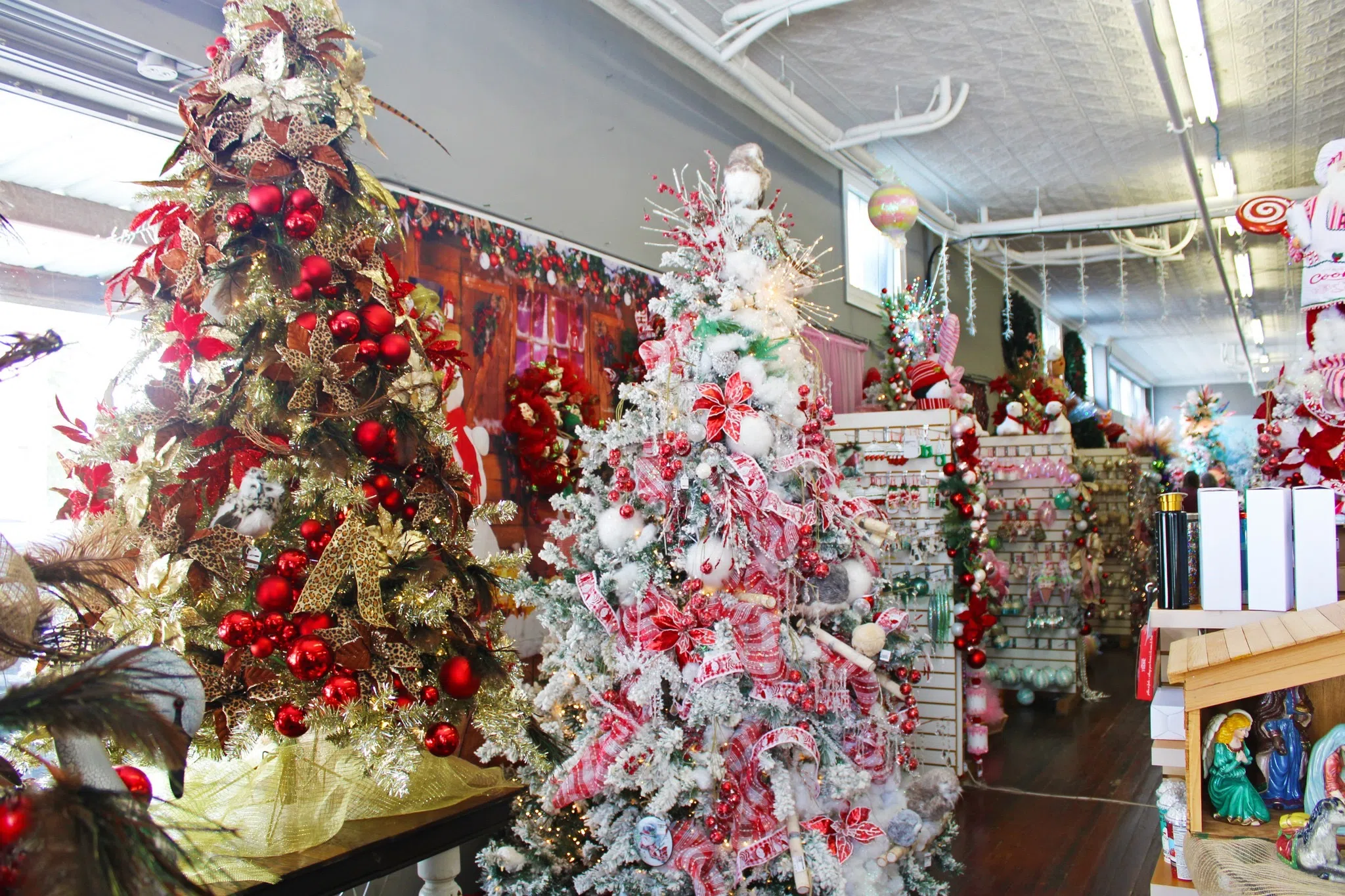 Shop Seguin during this year's Small Business Saturday