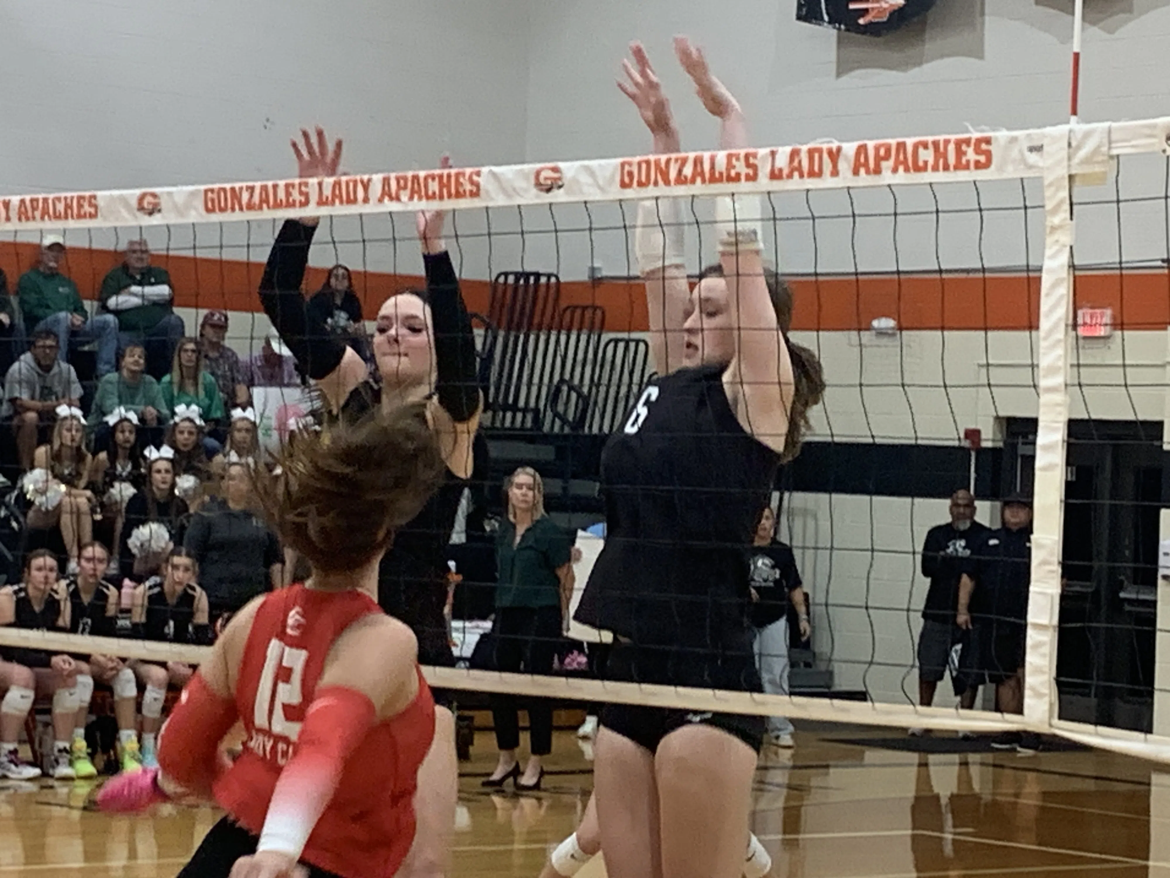 Marion Lady Bulldogs rake in postseason volleyball all-district awards led by District MVP Madi Love