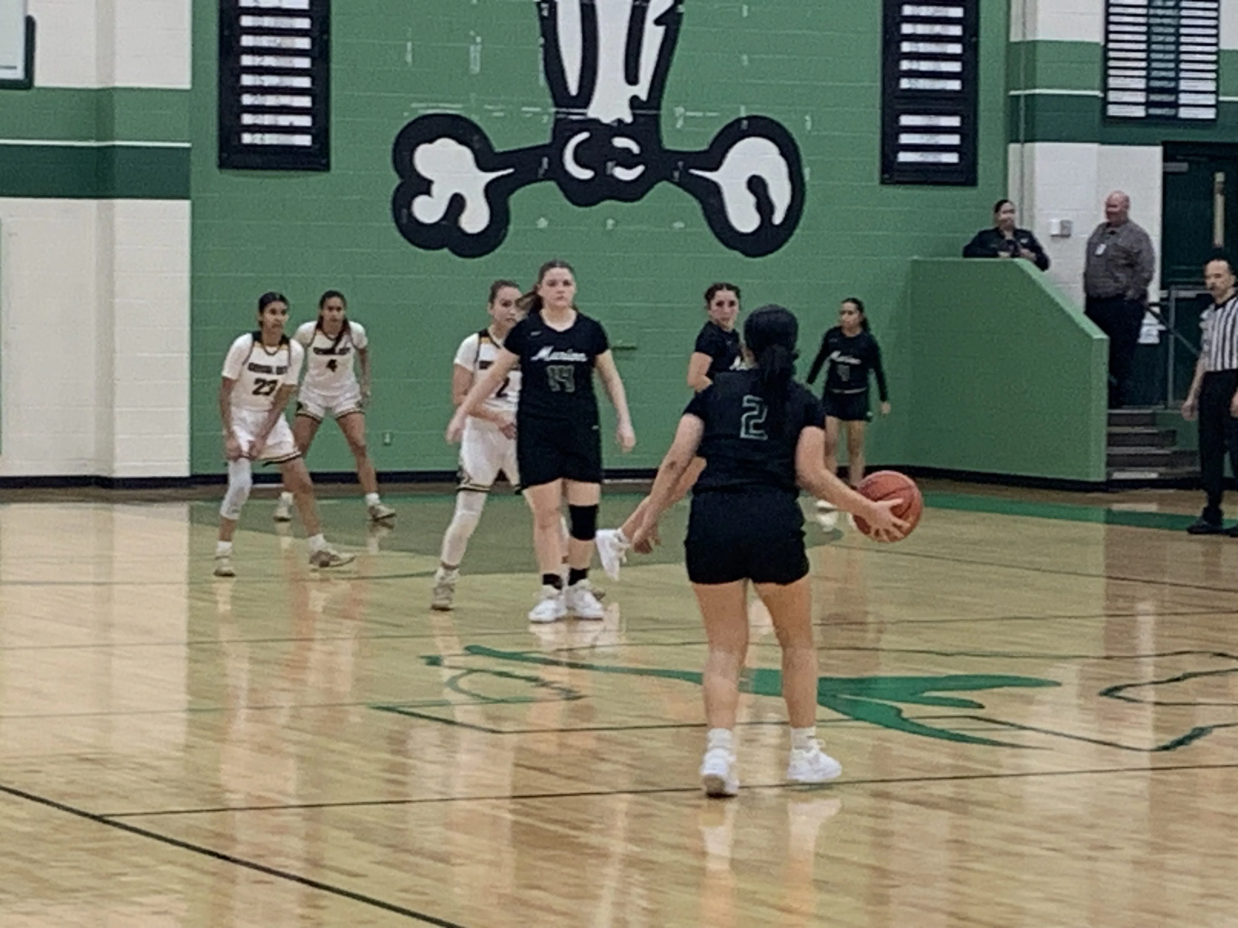 Marion and Navarro fall in girls basketball playoffs