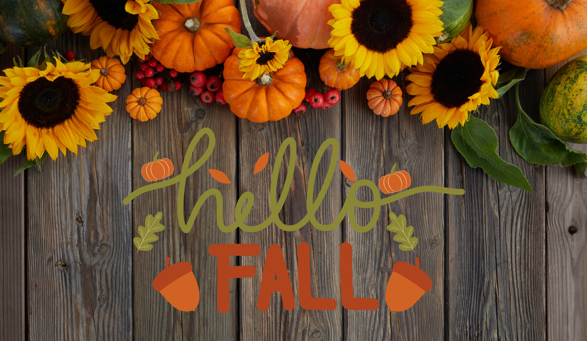 Car show, pet costume contest among Fall Festival events