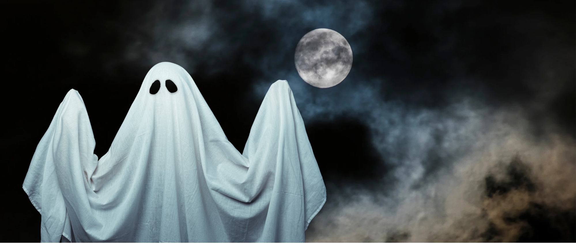 The Spirits of TLU, what do you think?