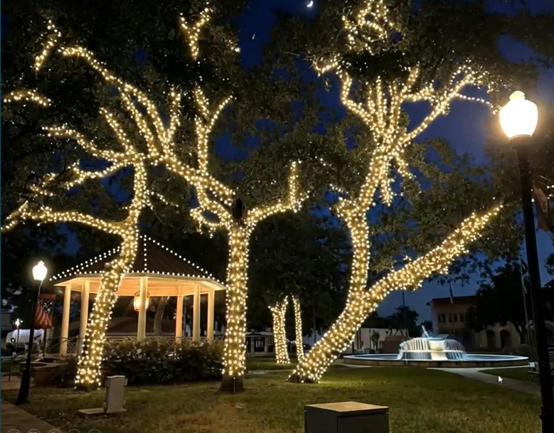Seguin shines new light on Central Park